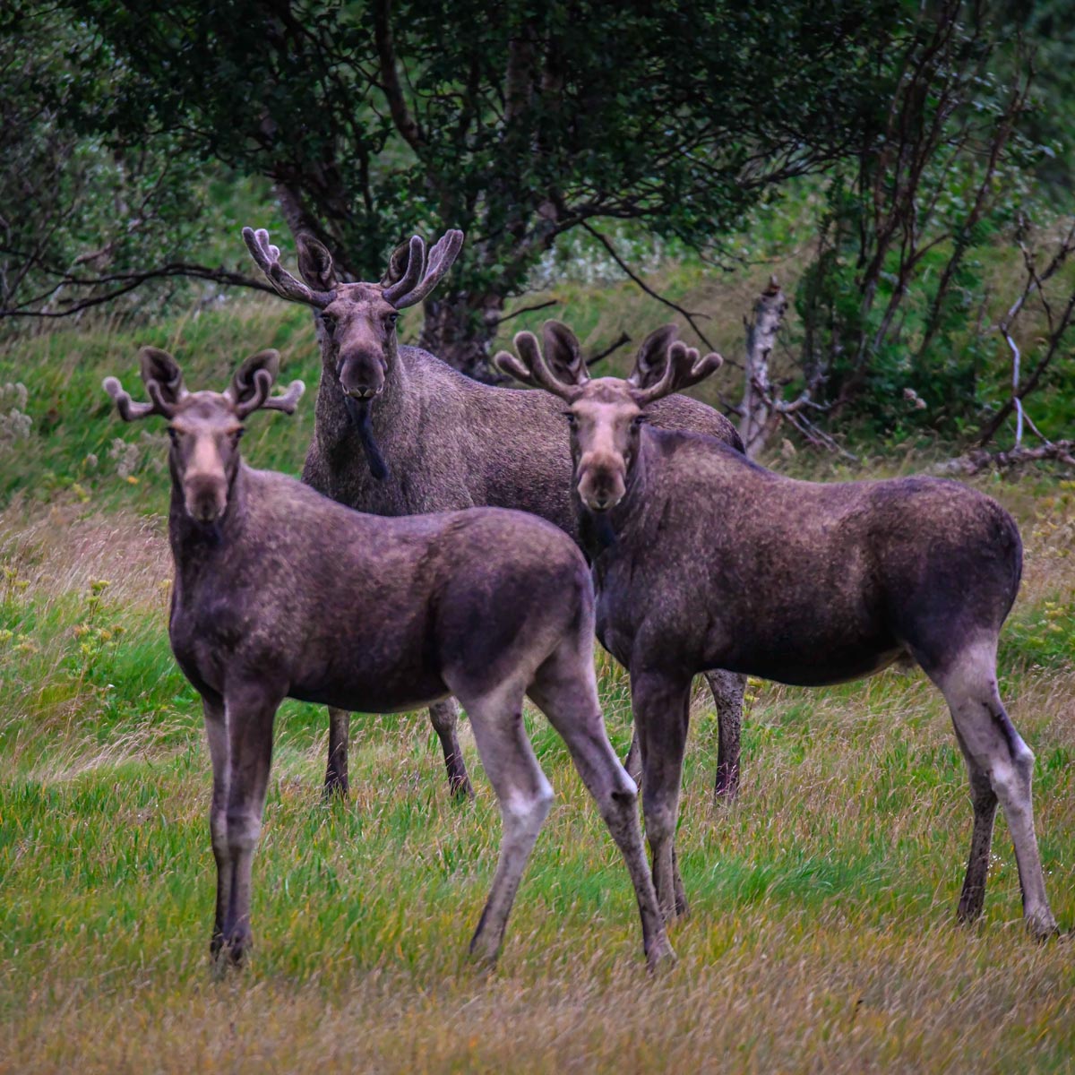 Latest Sightings