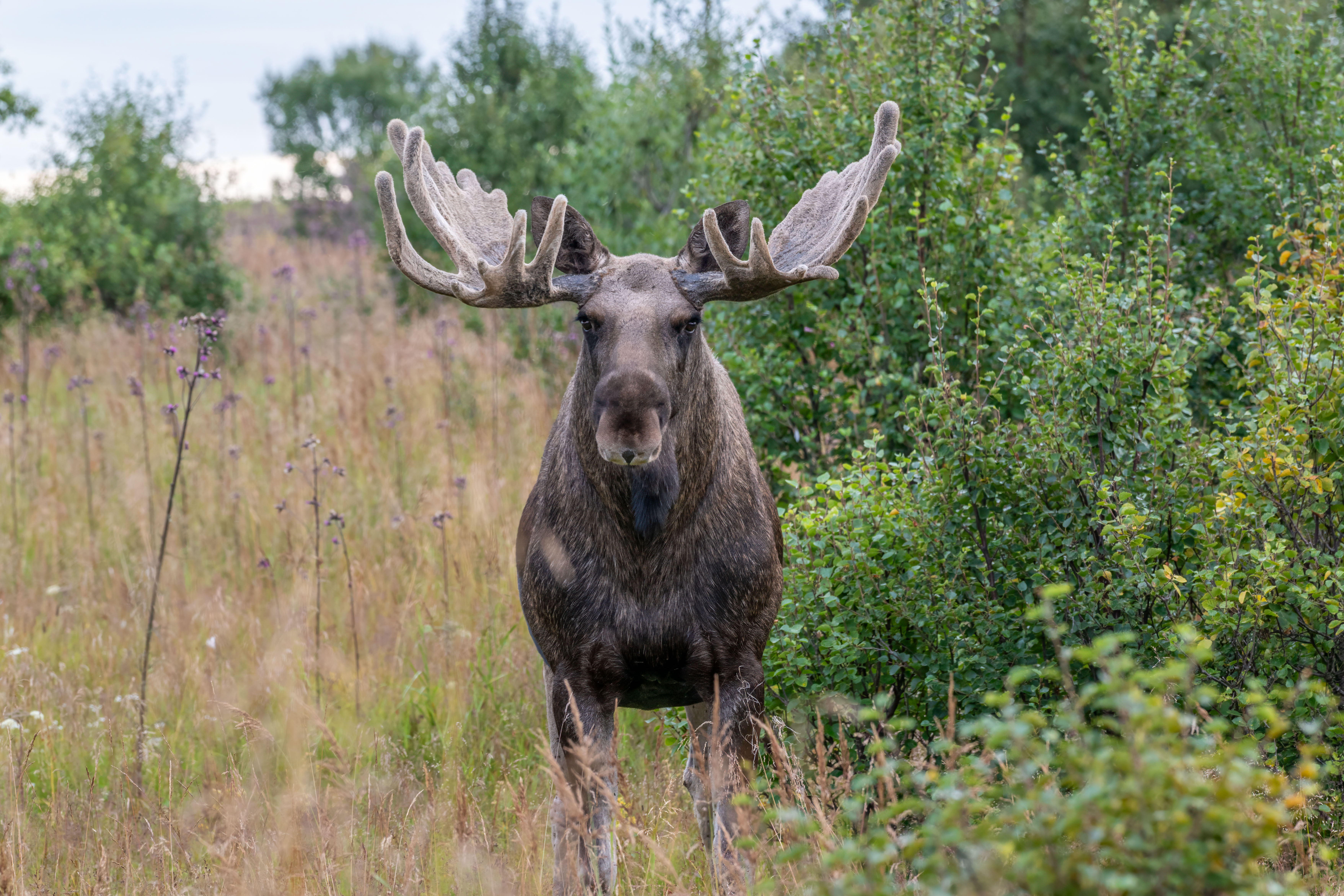 Latest Sightings