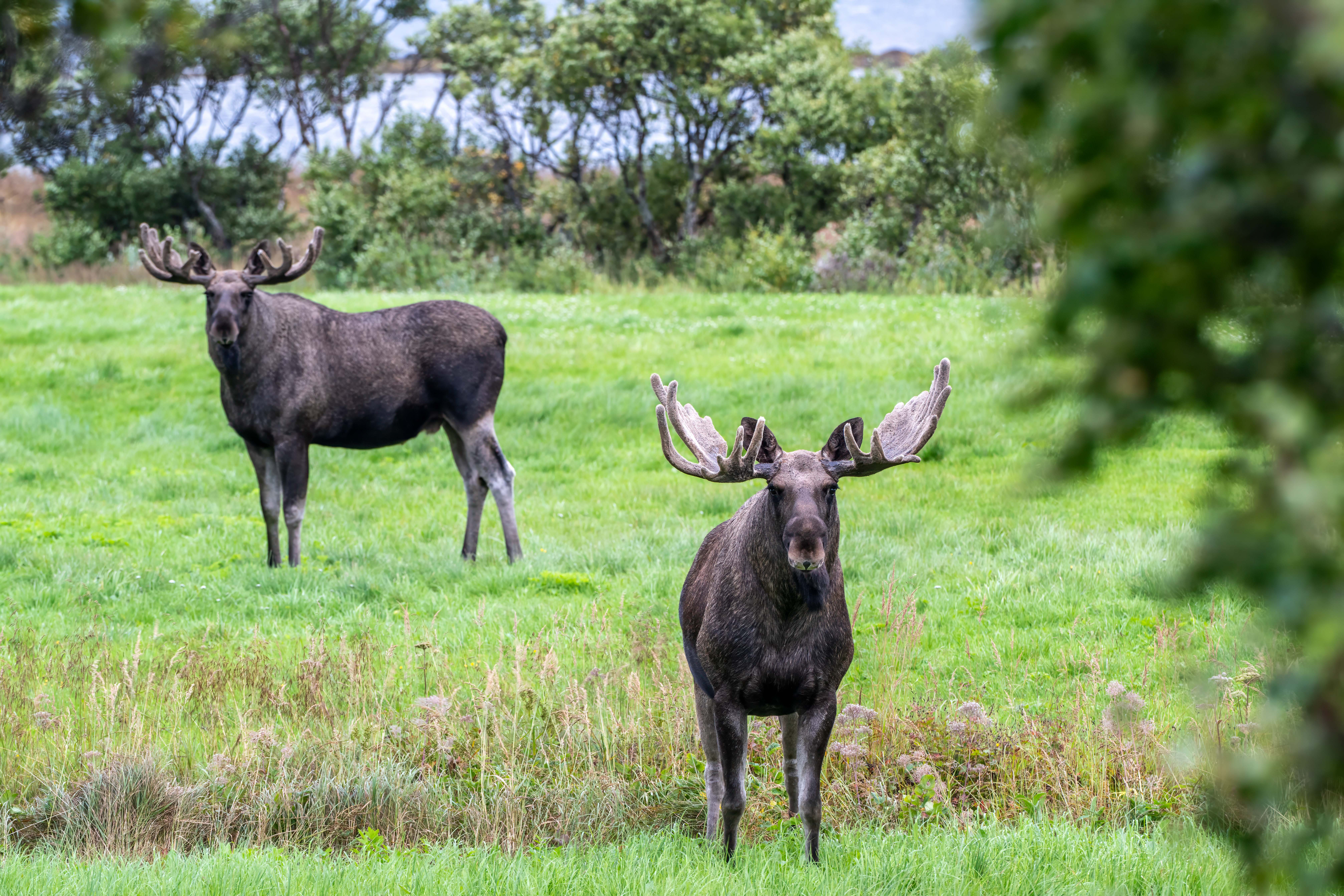 Latest Sightings