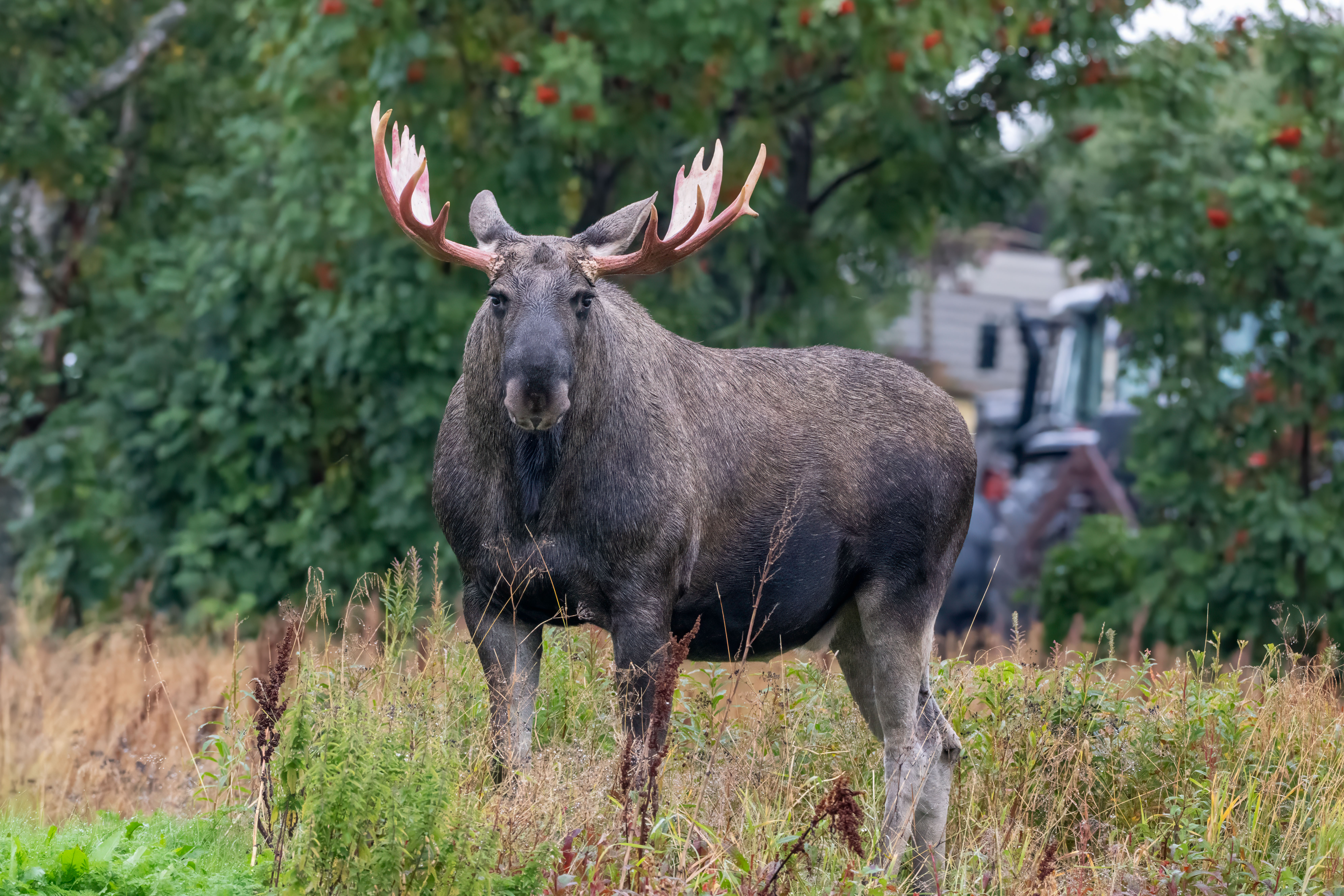 Latest Sightings