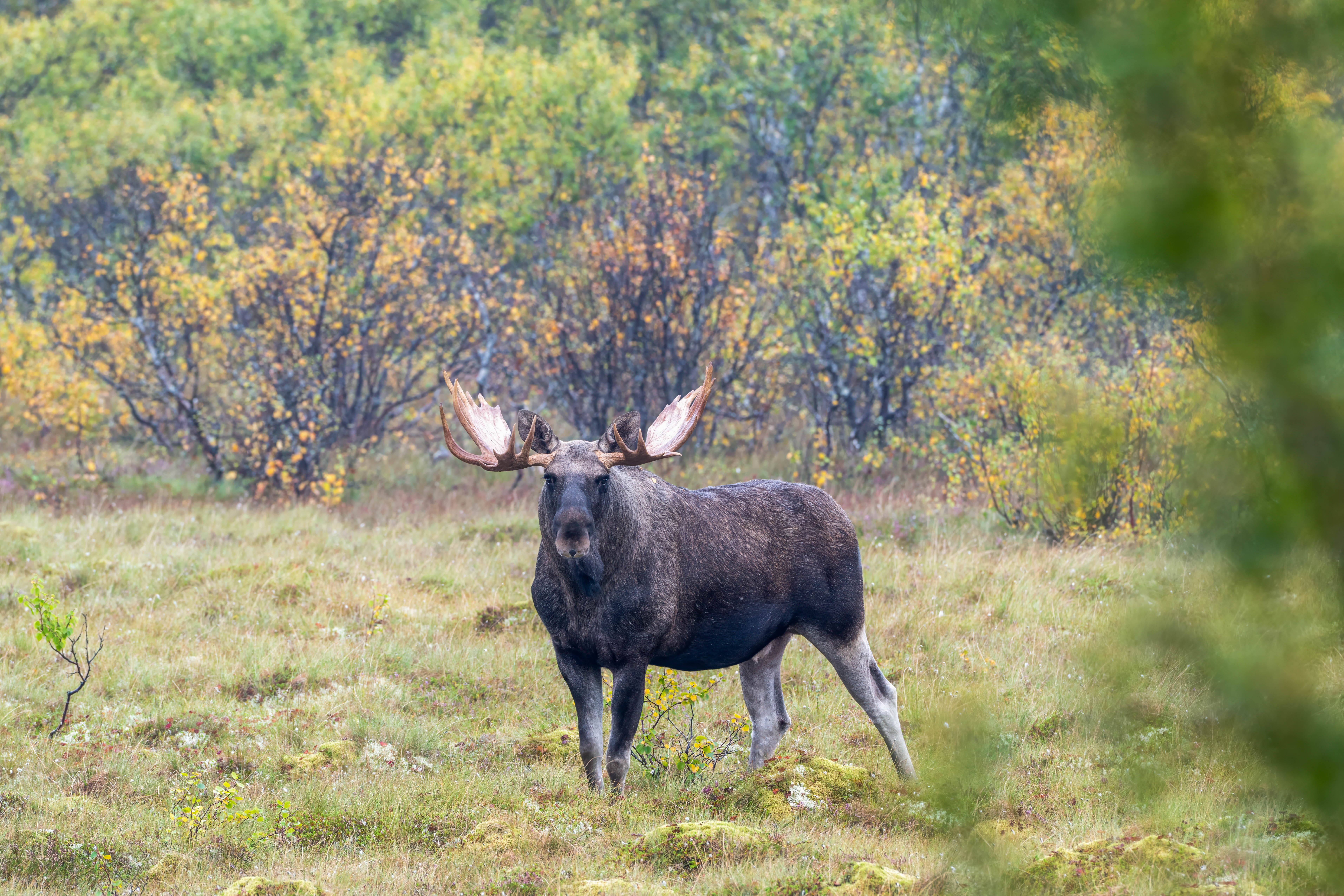 Latest Sightings