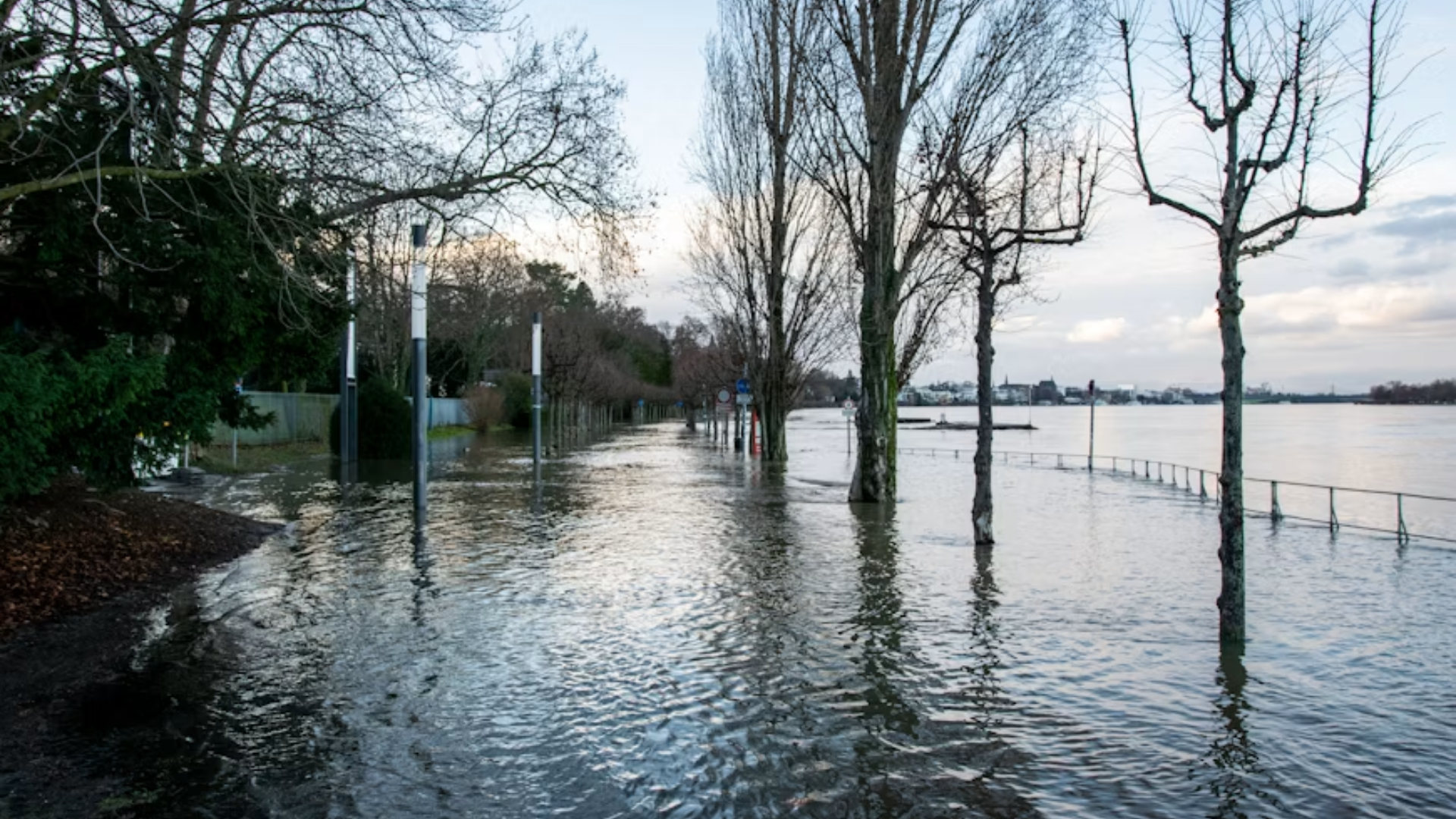 Why Flood Insurance is a Non-Negotiable for Homeowners