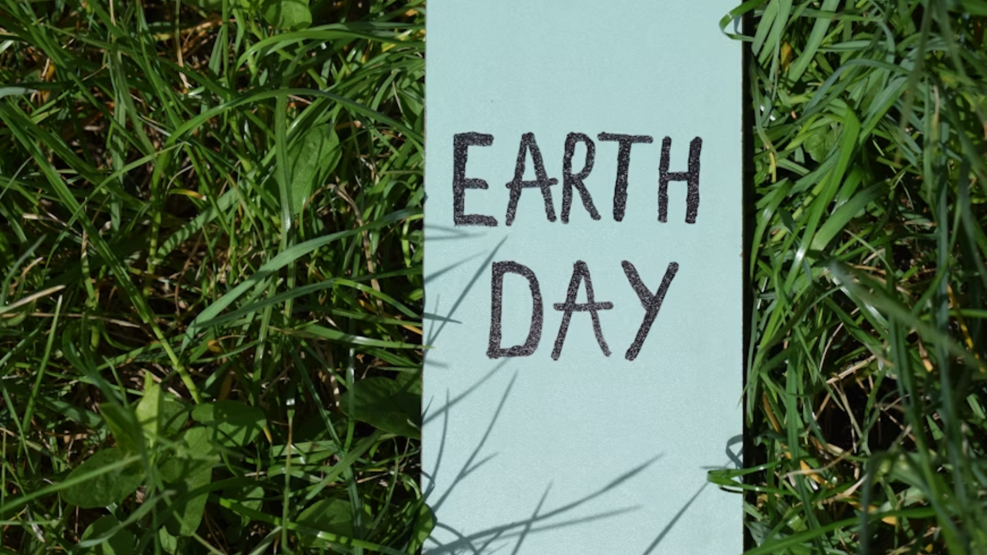 Earth Day in Plano, TX