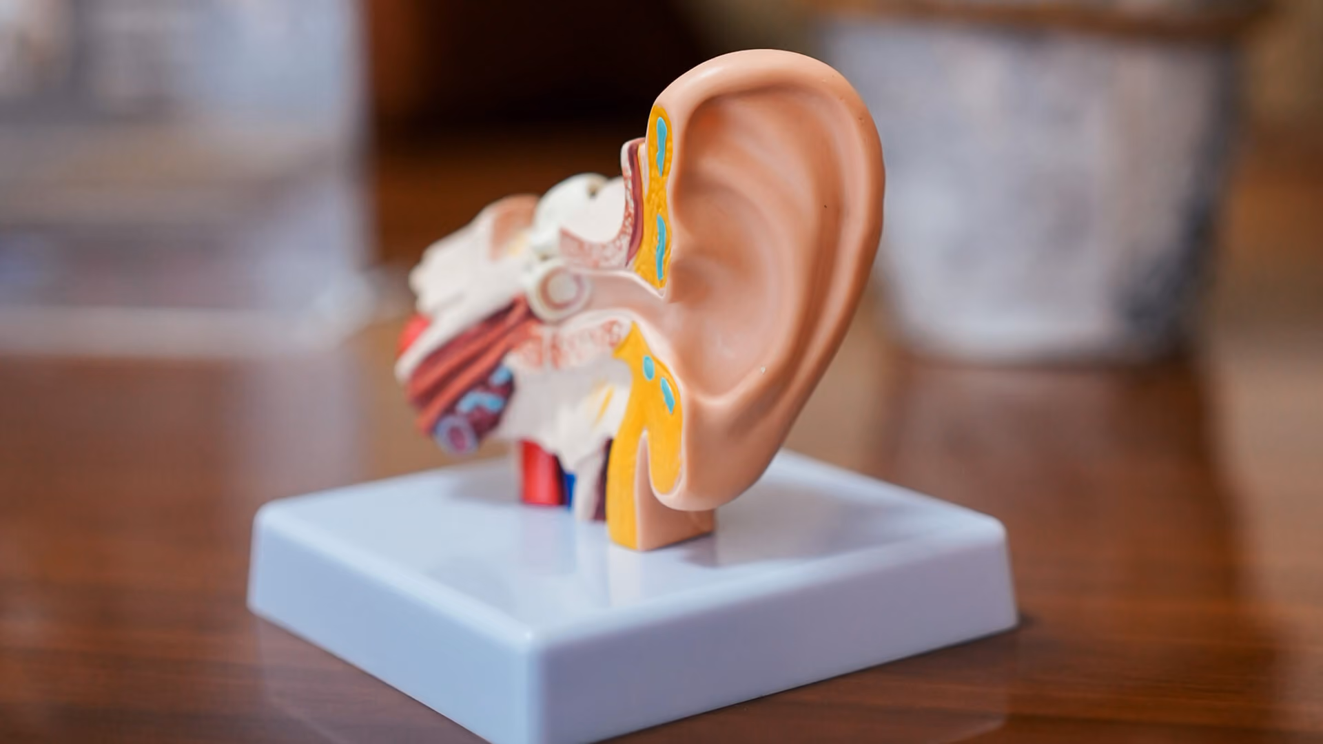 Médecin évaluant des symptômes ORL et respiratoires lors d’une consultation.