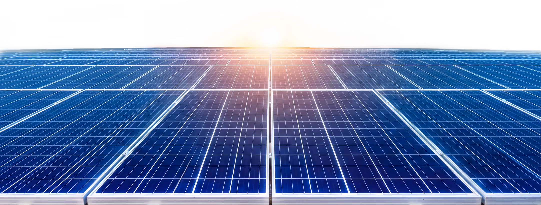 Solar panel array installed at the Dairy Food Bulgaria facility