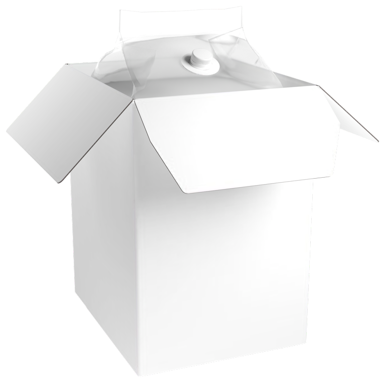 Bag-in-Box package