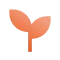Card Icon