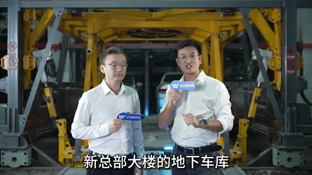 Video Image