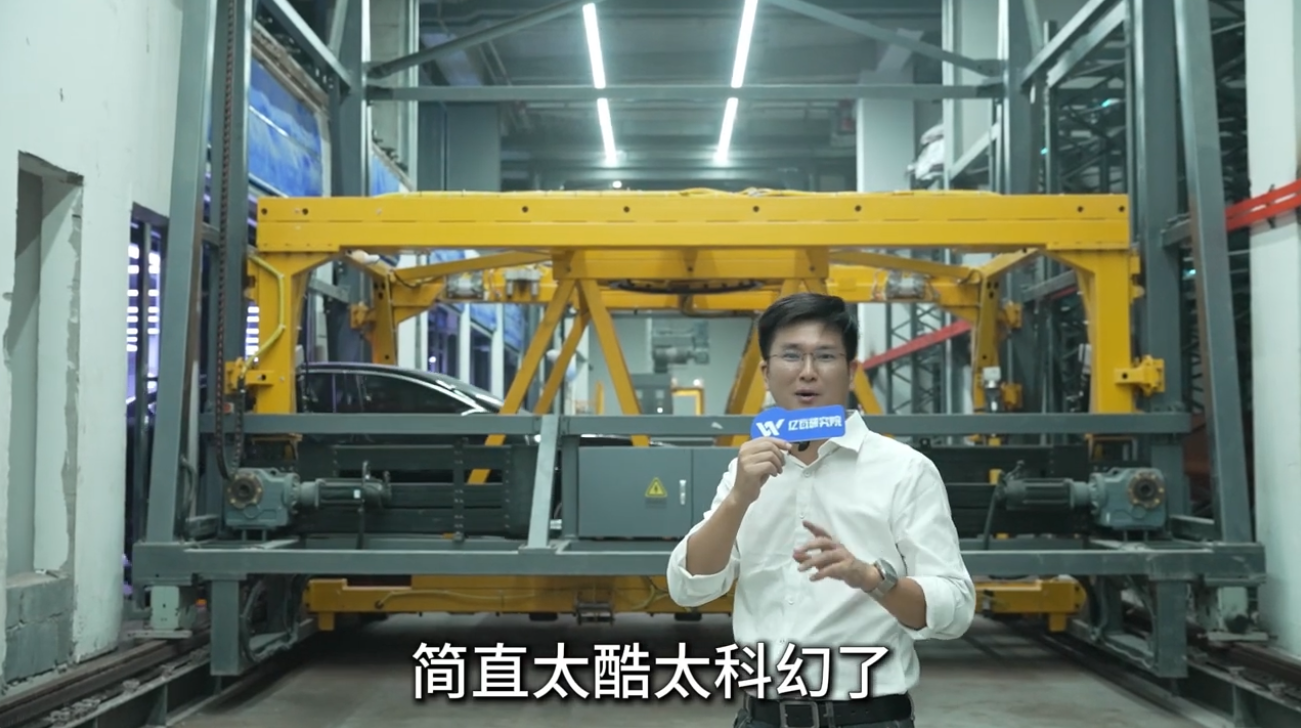 Video Image