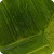 menu icon