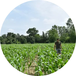 a man standing in a field of corn