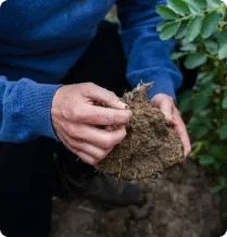 a person holding a dirt ball in their hands
