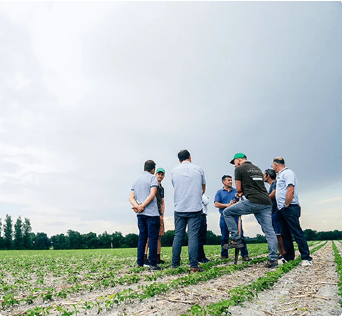 a group of men standing on top of a lush green field