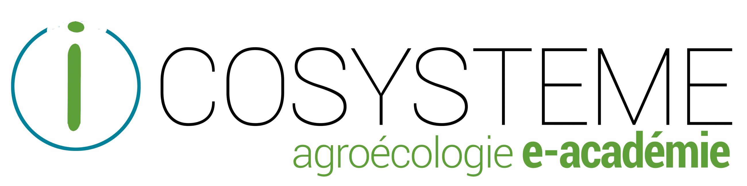 logo icosysteme