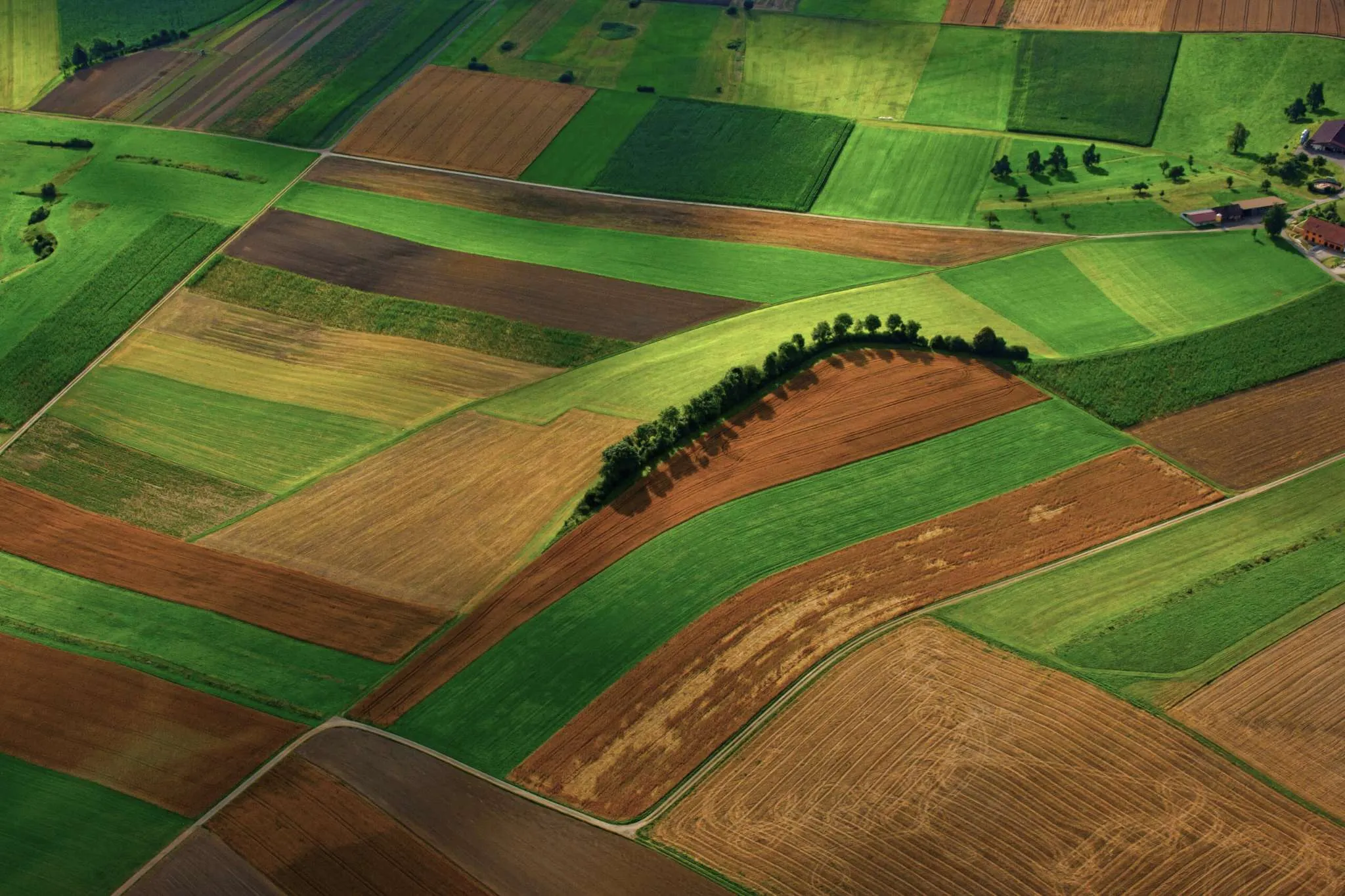 Aerial view of a patchwork of green and brown agricultural fields with a row of trees casting shadows.
