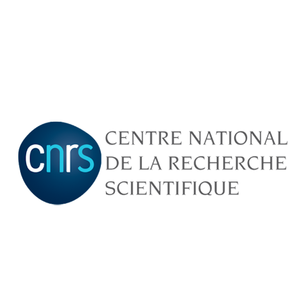 Logo of CNRS with the acronym inside a dark blue rounded shape and the words Centre National de la Recherche Scientifique beside it.