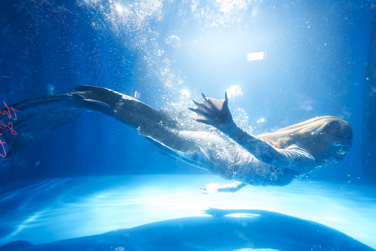 The Mermaid Museum for Freeform x PopSugar — Gold Sky Productions
