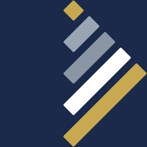 Shinsei Systems icon mark