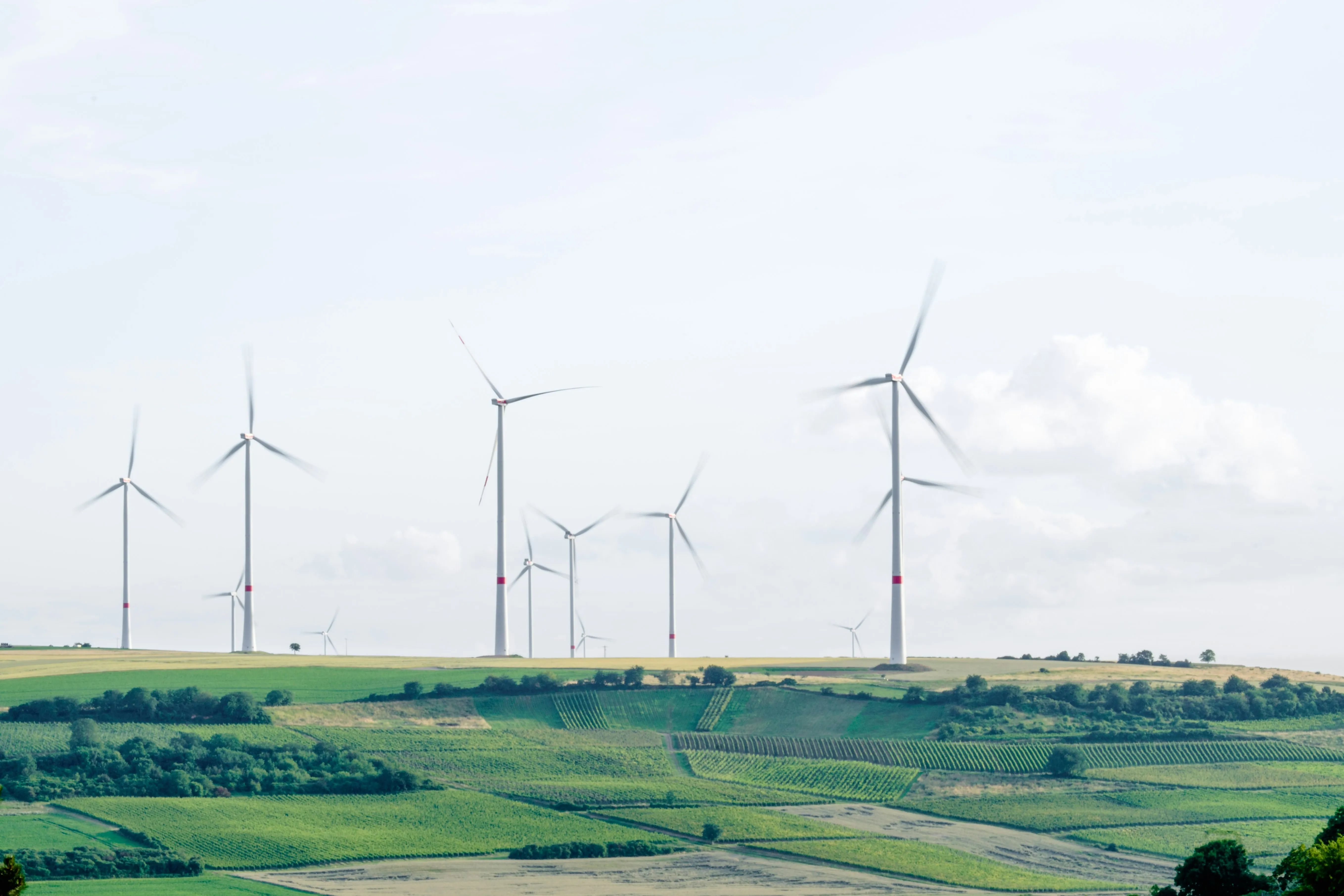 Wind turbines across green rolling fields