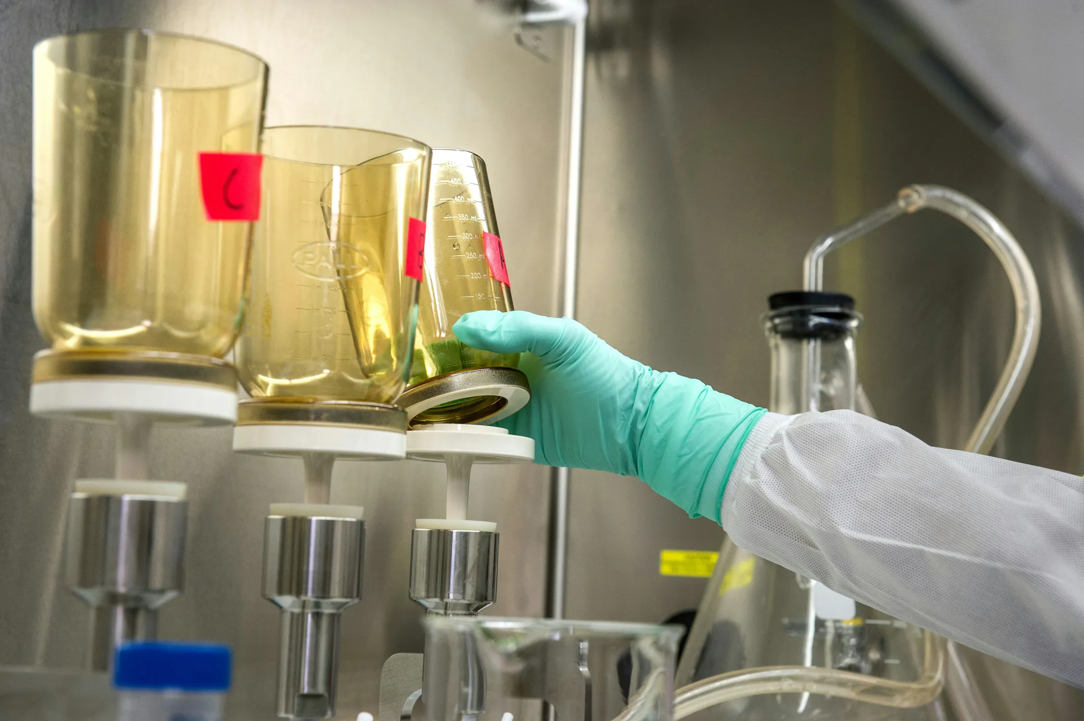 A gloved hand handling amber liquid in laboratory glassware