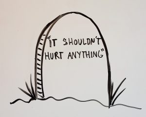 It Shouldn't Hurt Anything -J Street Technology - Database Programmers - 98004
