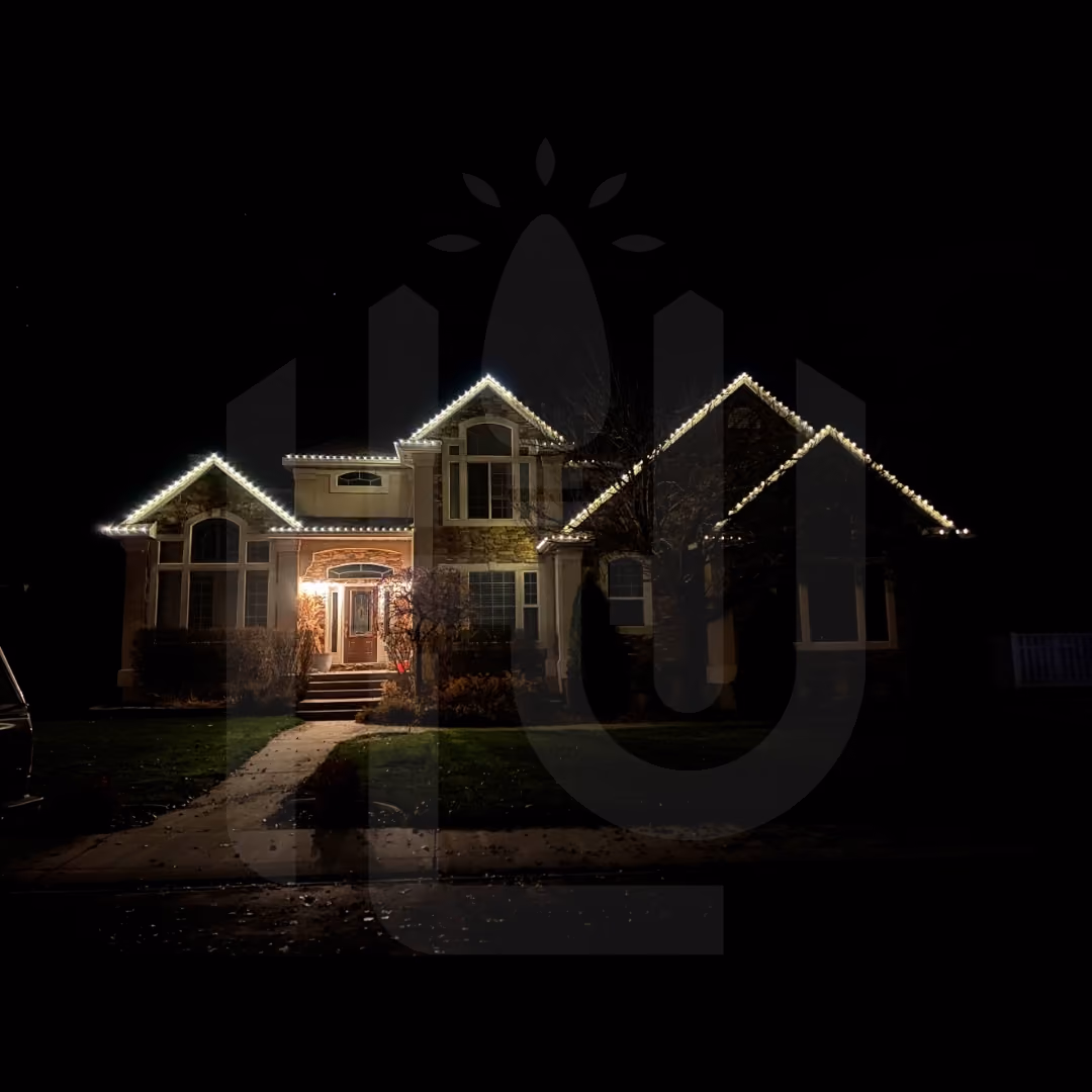 Residential holiday lighting expert sharing professional insights.