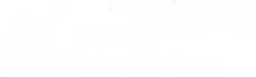 Vendas Estratégicas