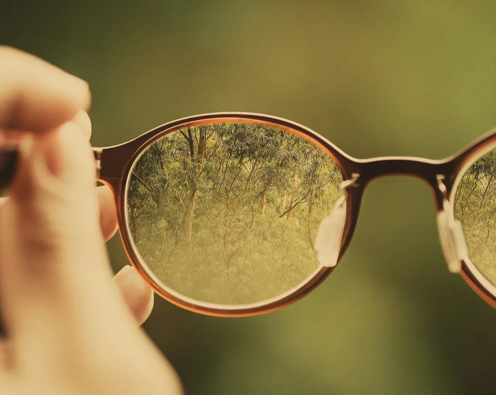 Close-up of eyeglasses held up against a blurred forest, bringing the trees into sharp focus, symbolizing clarity around SummitView Holdings' key capabilities.