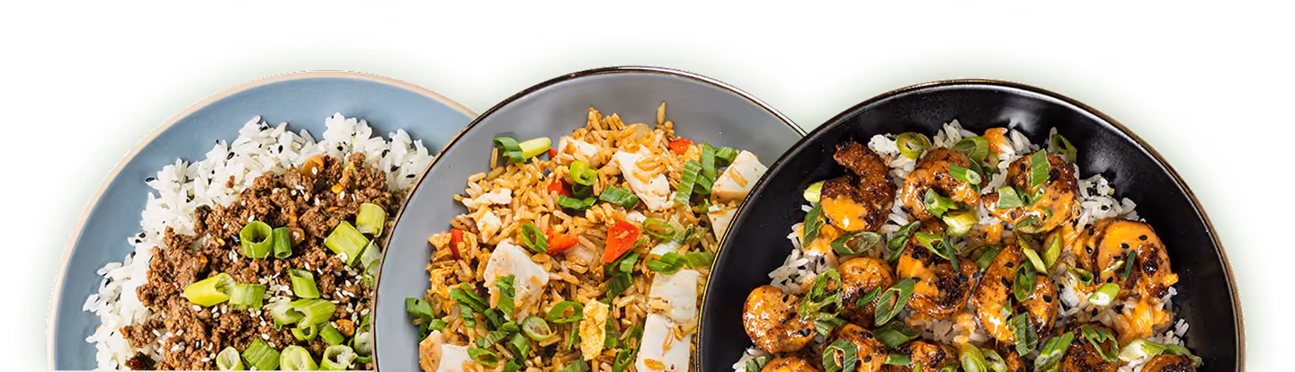 Three plates with different rice dishes topped with chopped green onions and various meats or vegetables.
