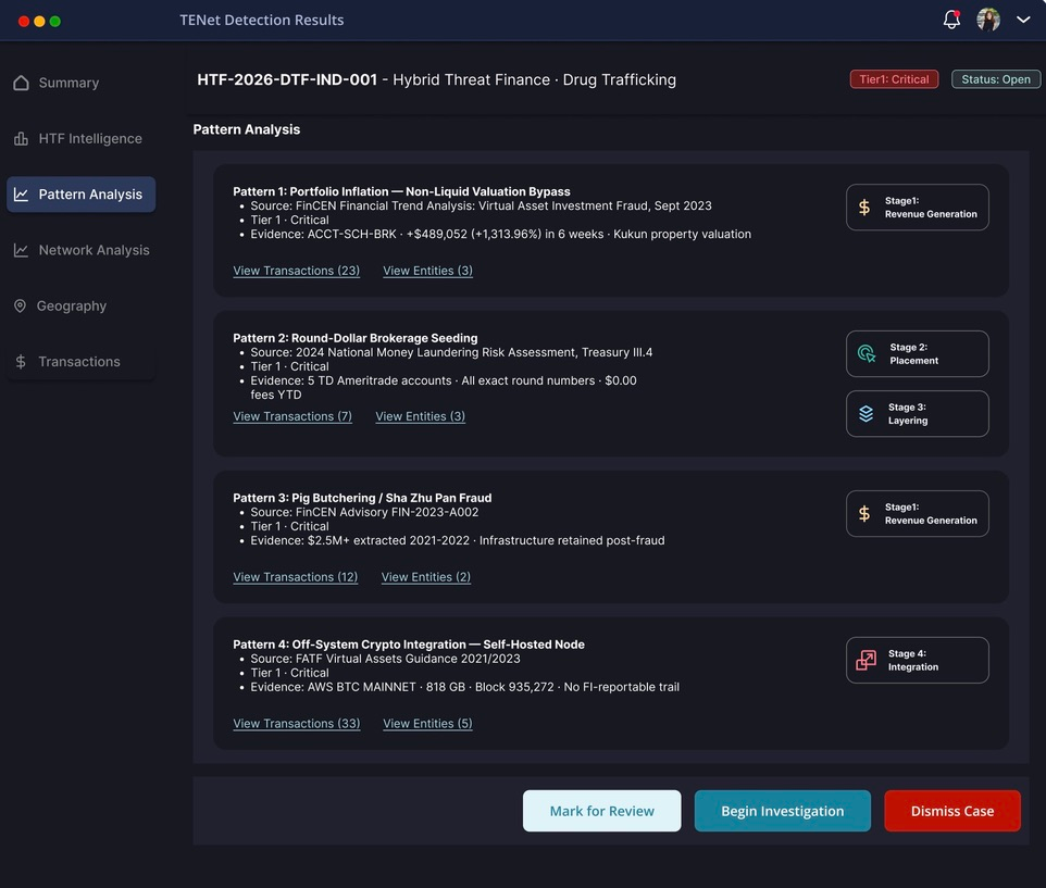 TENet pattern analysis interface showing financial crime detection patterns