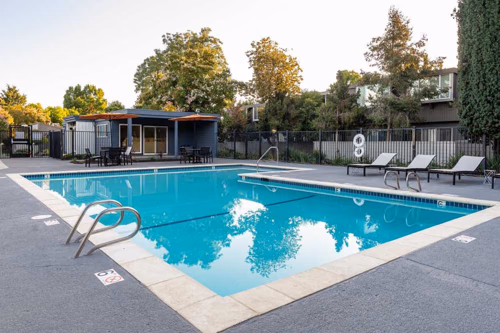 Swimming pool with lounge chairs