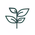 Simple line drawing of a plant with four leaves in a circular frame.