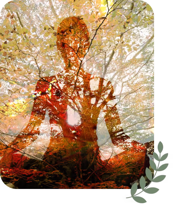 Silhouette of person meditating merged with colorful autumn tree branches and leaves.