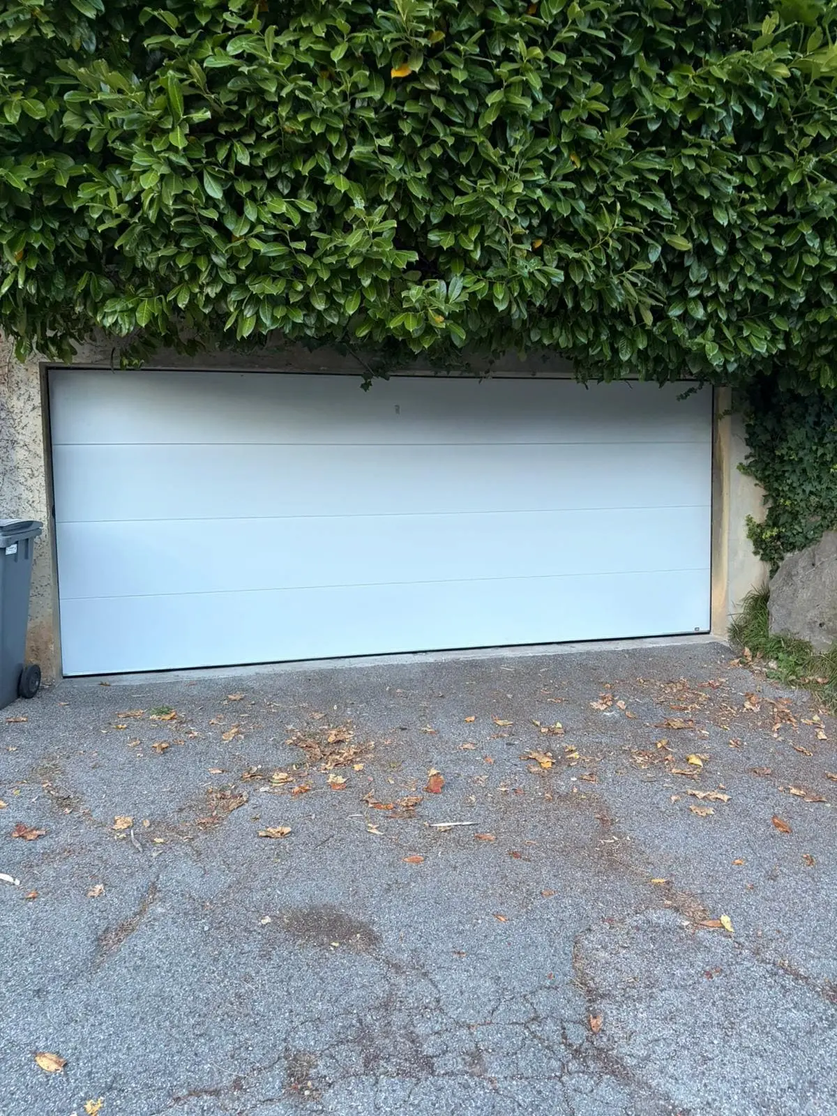 Entrée d'une maison moderne avec portillon en métal noir et chemin pavé sur herbe verte.