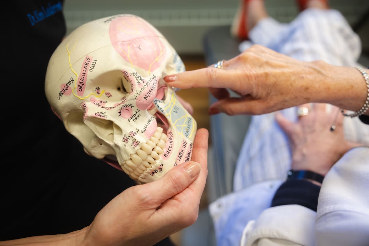Instructor demonstrating jaw and skull anatomy to patient during educational consultation.