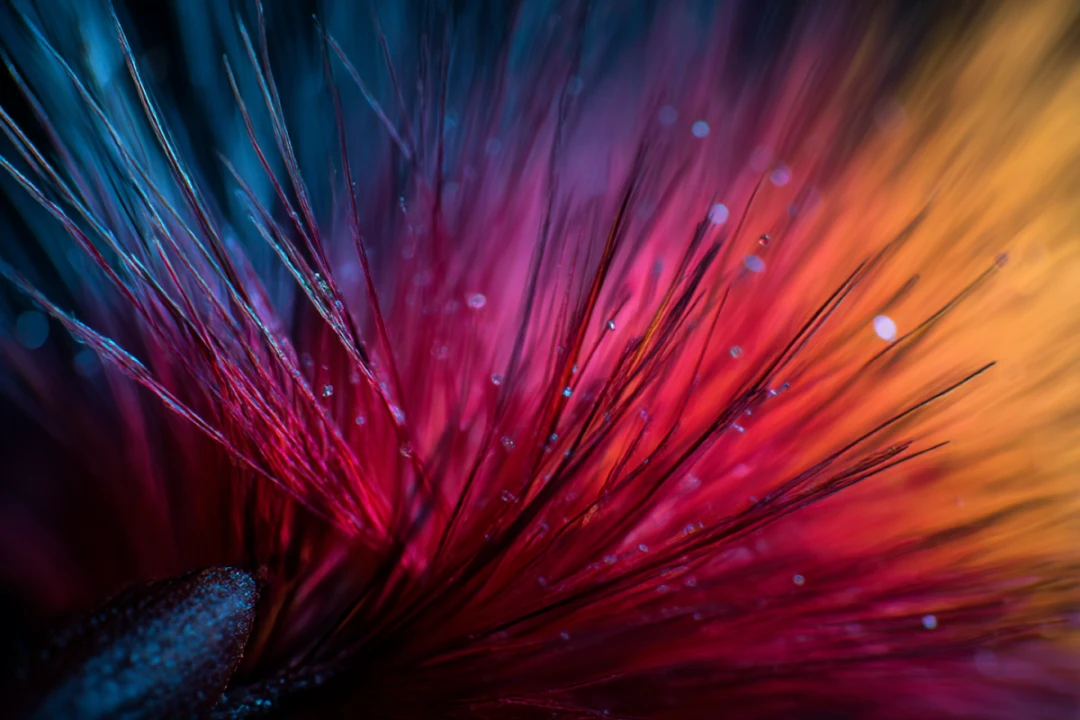 Colorful abstract artwork