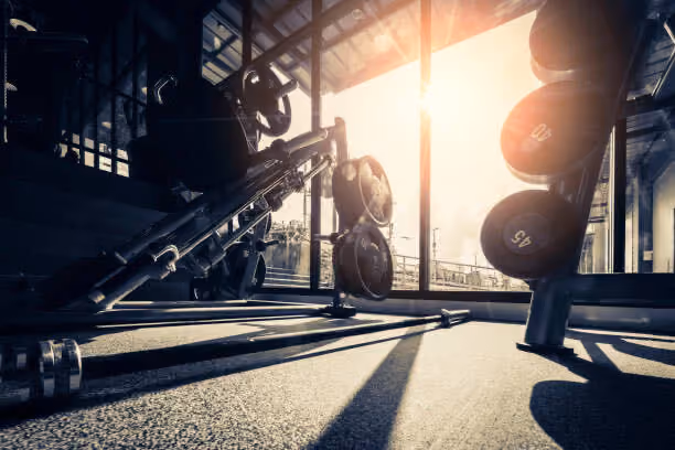 Weightlifting equipment and plates in a gym lit by bright sunlight through large windows.