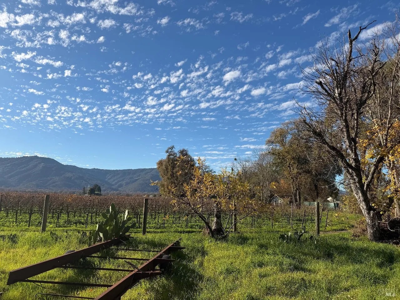 1/3 Ac. Building Site, Only 12k Down! - Ukiah California