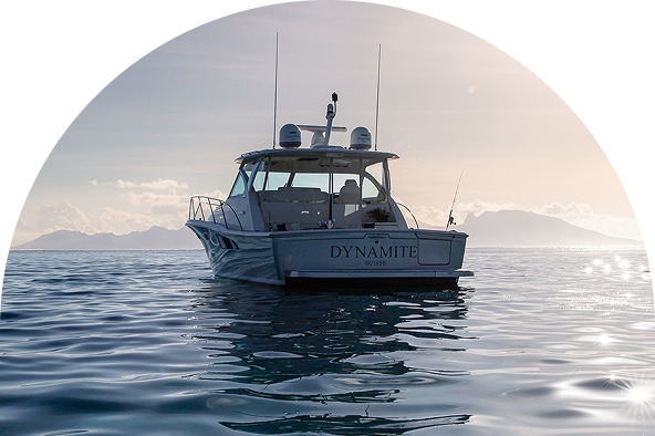 Dynamite Luxury Day Charter