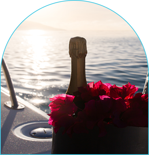 Dynamite Luxury Day Charter