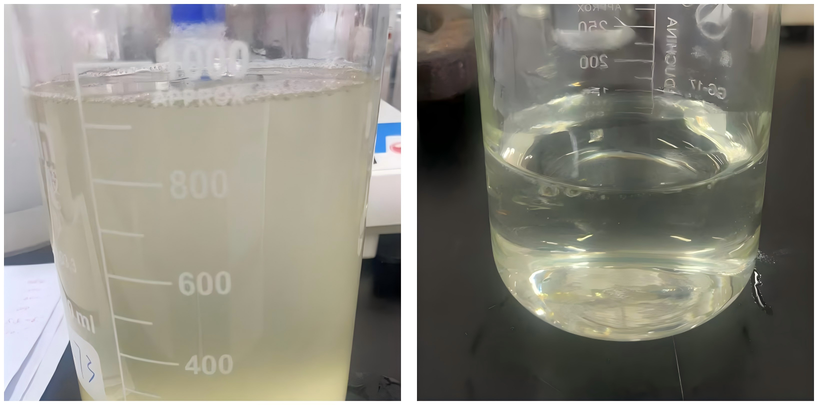 Side-by-side comparison of a cloudy body wash sample containing all original actives next to a clear sample made with only the surfactant base