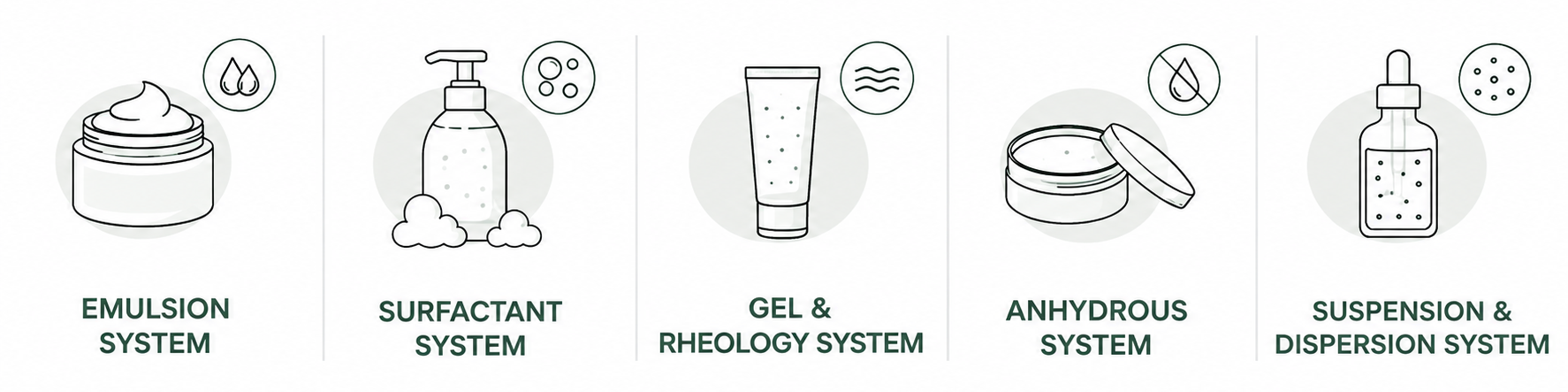 Icons representing five cosmetic formula types: emulsion, surfactant, gel and rheology, anhydrous, and suspension and dispersion systems