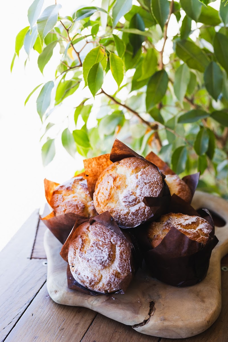 Fresh muffins