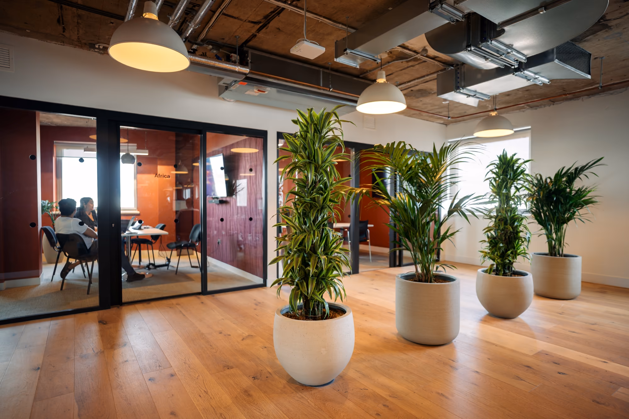 Modern office space with wooden floor, potted plants, and people meeting in a glass-walled room.