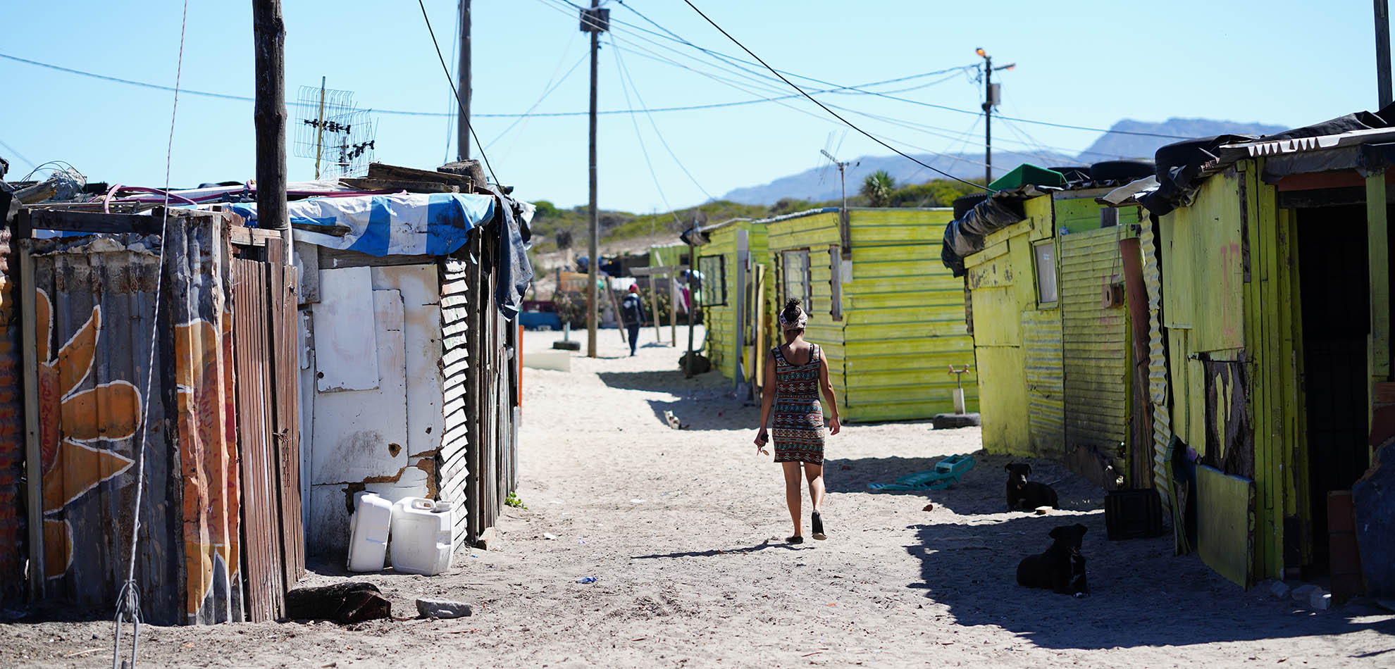 A woman walks down a sandy path between weathered shacks and dogs resting in shade.