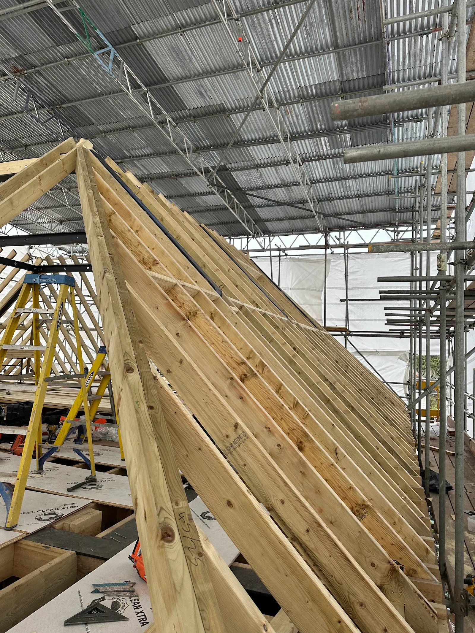 Hip rafters framed in new timber during a loft conversion in Southgate