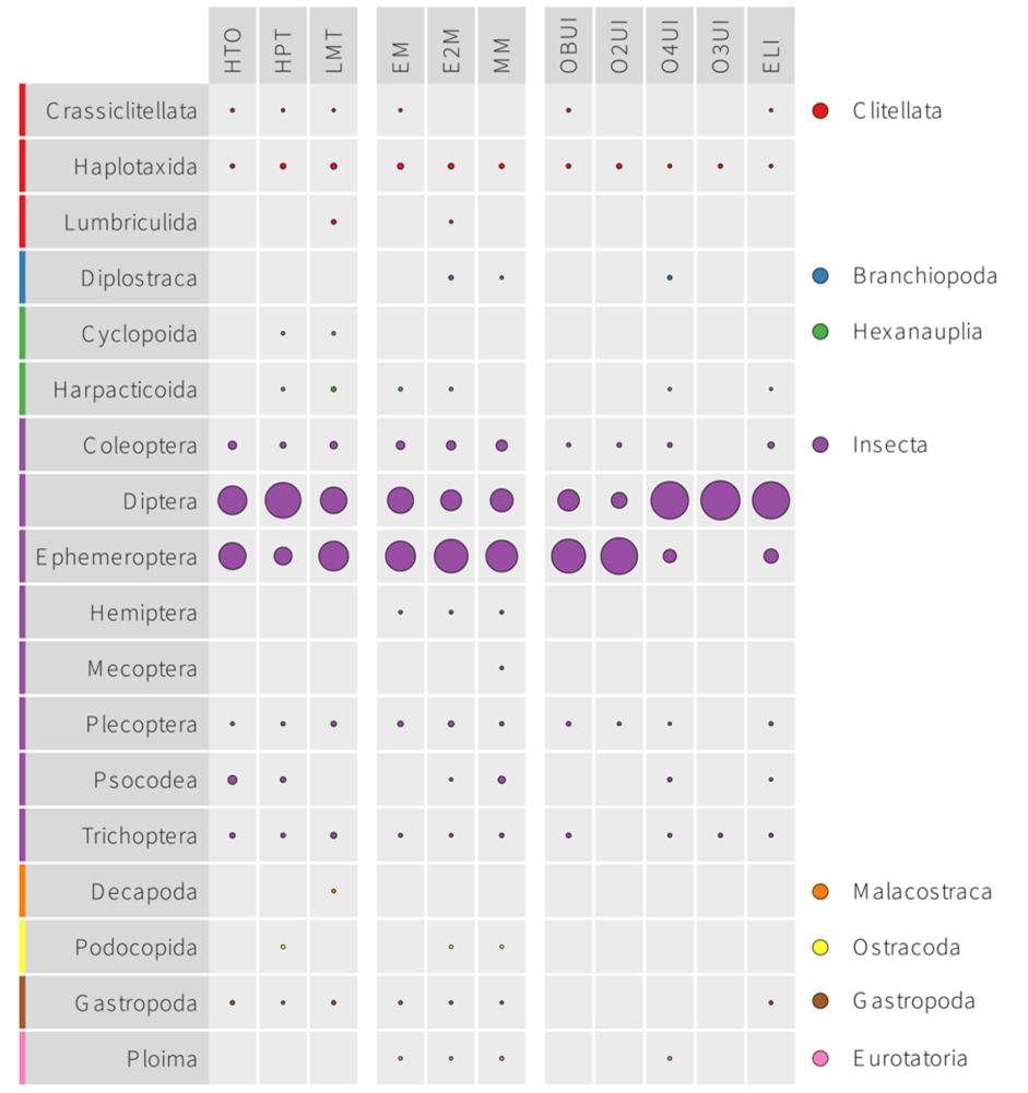 The graph shows the proportion of DNA allocated to families (rows) in eleven sampling sites (columns). Each bubble per sample represents the proportion of DNA  for each species for that sample. The size of the bubble is relative to the number of sequences from all species for that sample. 