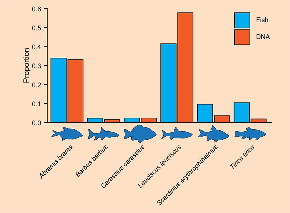 eDNA Metabarcoding for Non-Invasive Fish Surveys - Fig.1