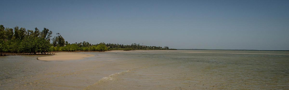 eDNA trialled for monitoring fish in community-run marine protected areas in Mozambique