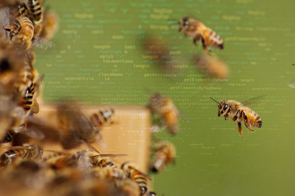 Post 2020 science based targets for nature - bees & honey - NatureMetrics blog
